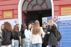 Image6