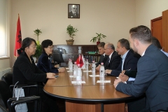 figurë