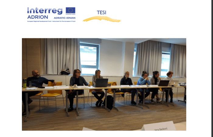 TESI – Training and Education in Social Innovation